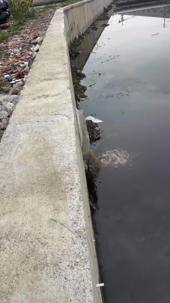 项目已有视频中的排口与近岸水面，可见出水位置附近的水面扰动